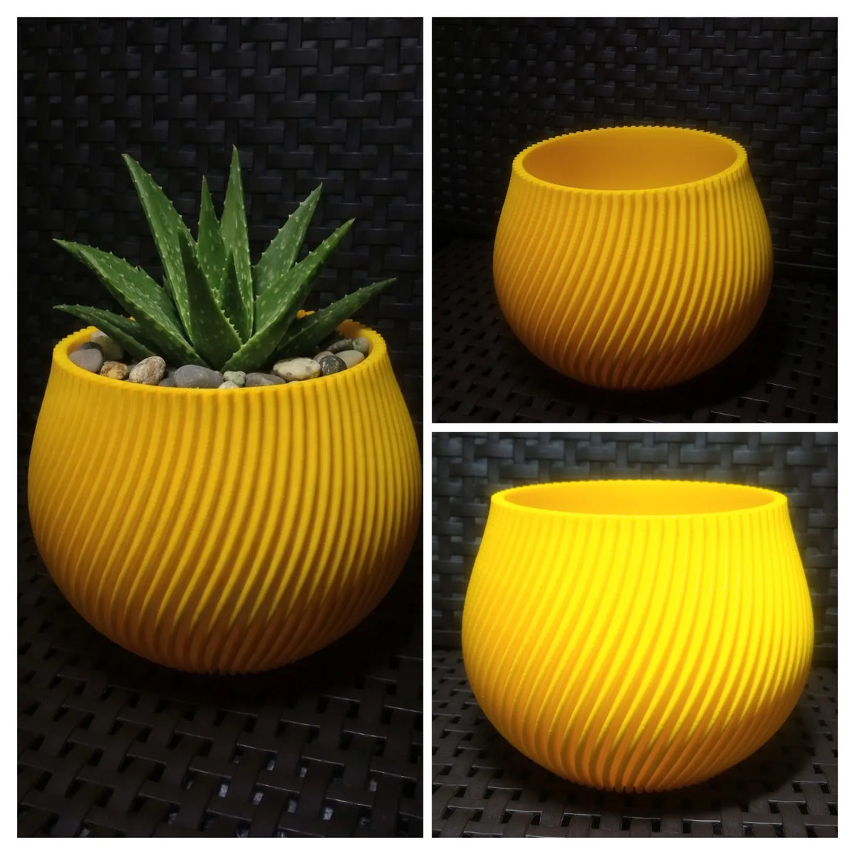 Spiral Planter (designer photo)