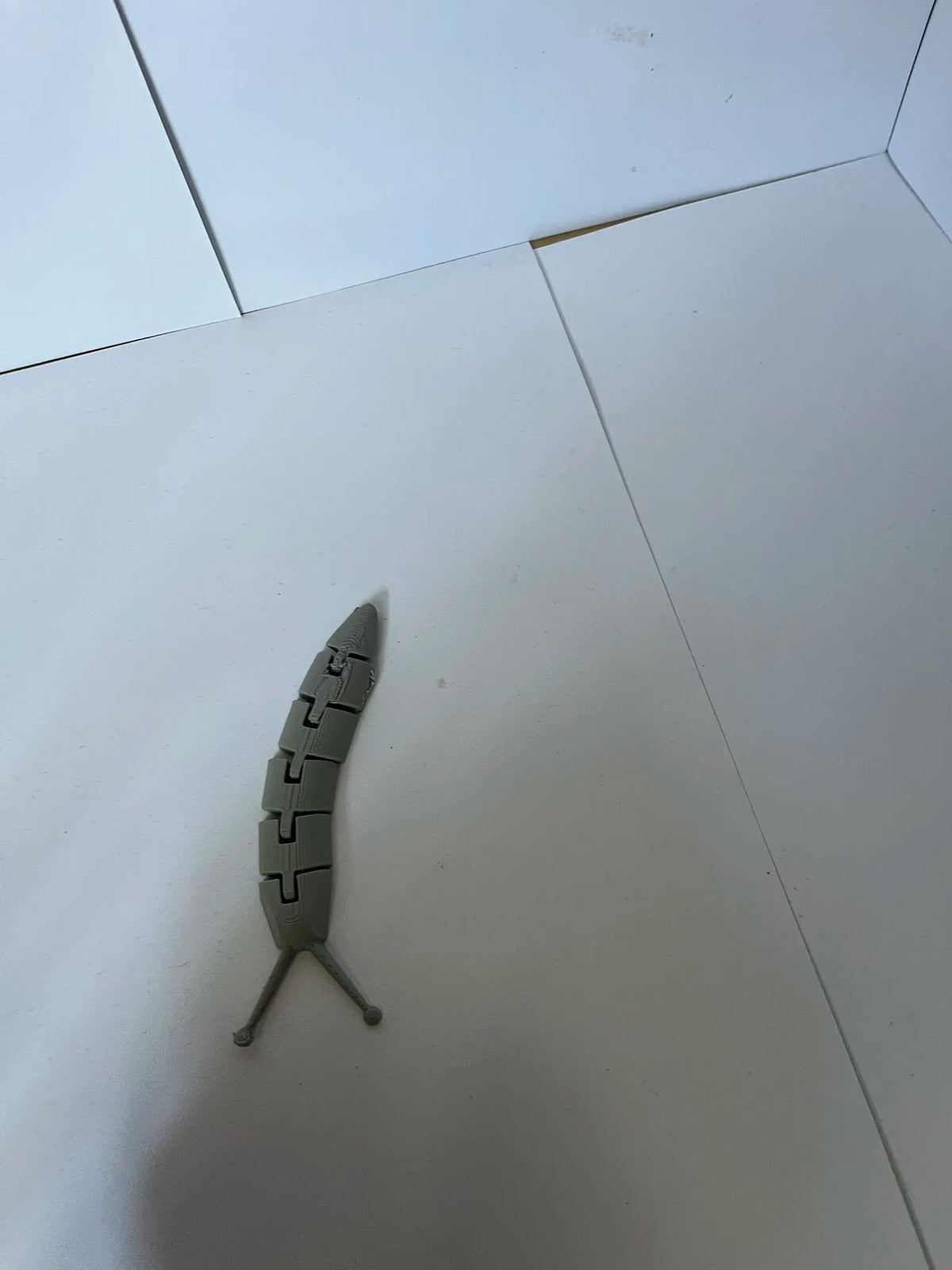 Flexi Slug (designer photo)