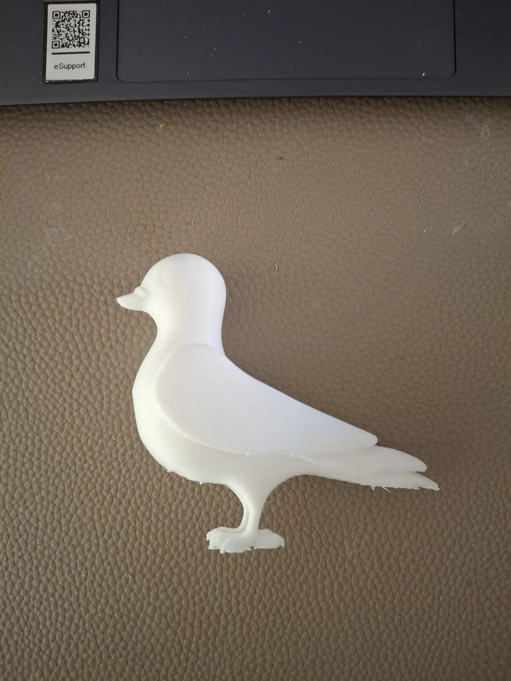 Cartoon Pigeon (designer photo)