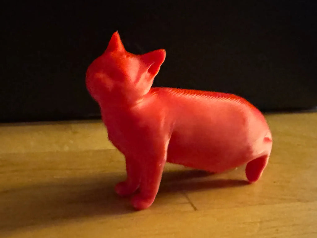 Sitting Cat (designer photo)