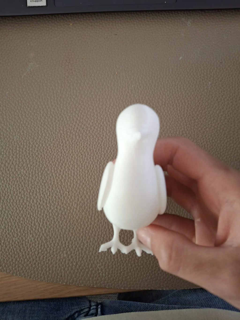 Cartoon Pigeon (designer photo)