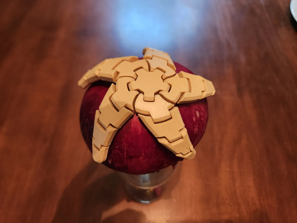 Flexi Starfish Coaster (designer photo)