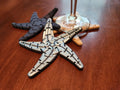 Flexi Starfish Coaster (designer photo)