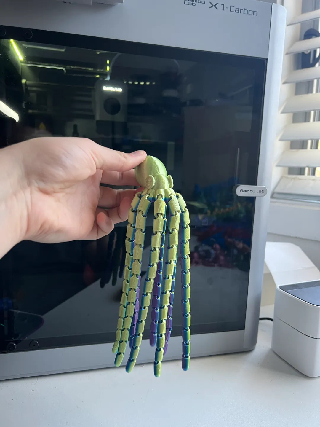 Octopus with Long Tentacles (designer photo)