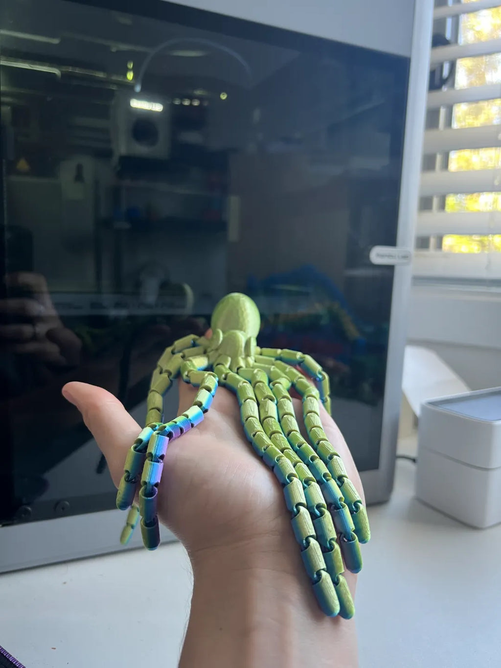Octopus with Long Tentacles (designer photo)