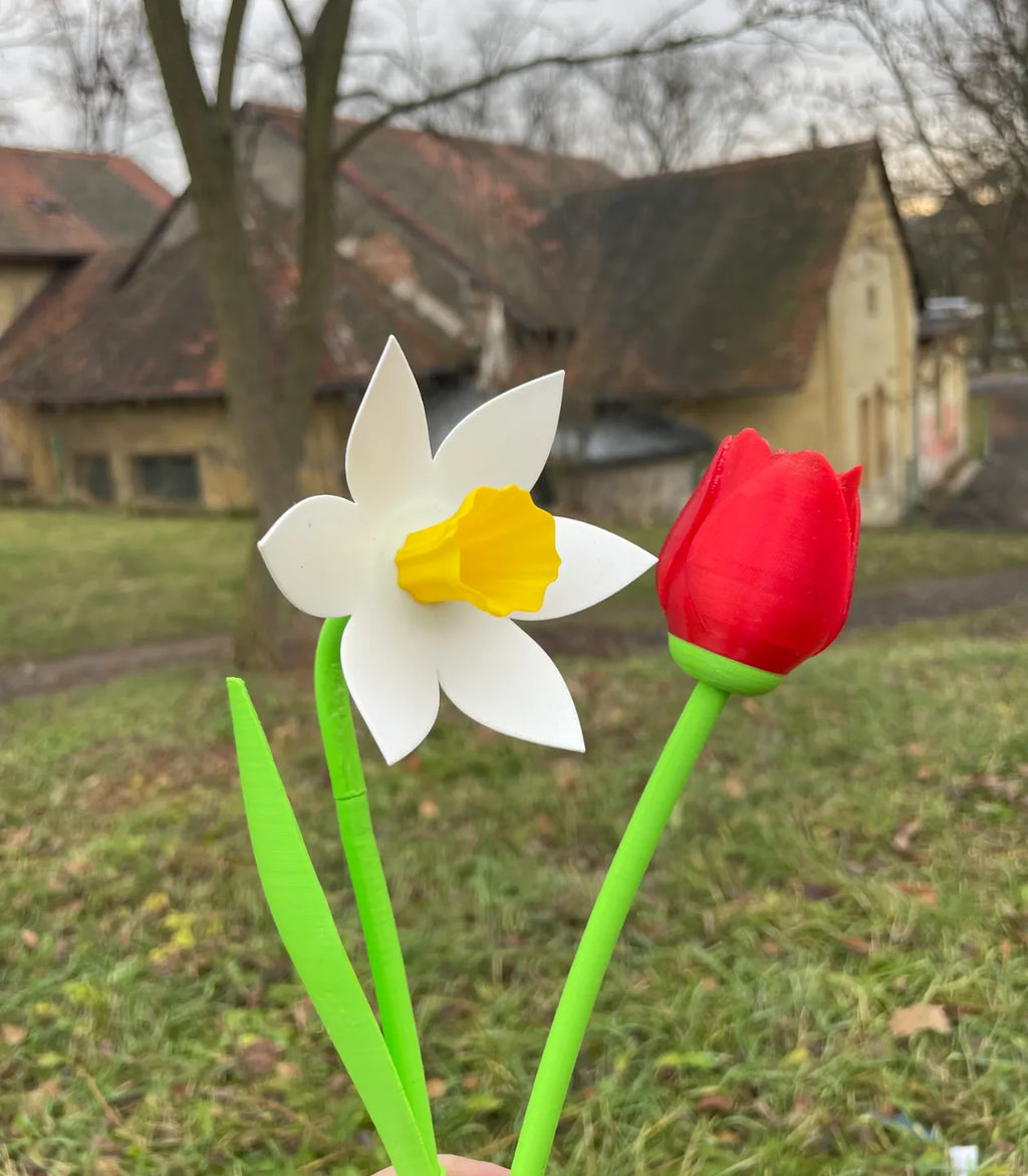 Tulip with Stem (designer photo)