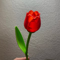 Tulip with Stem (designer photo)