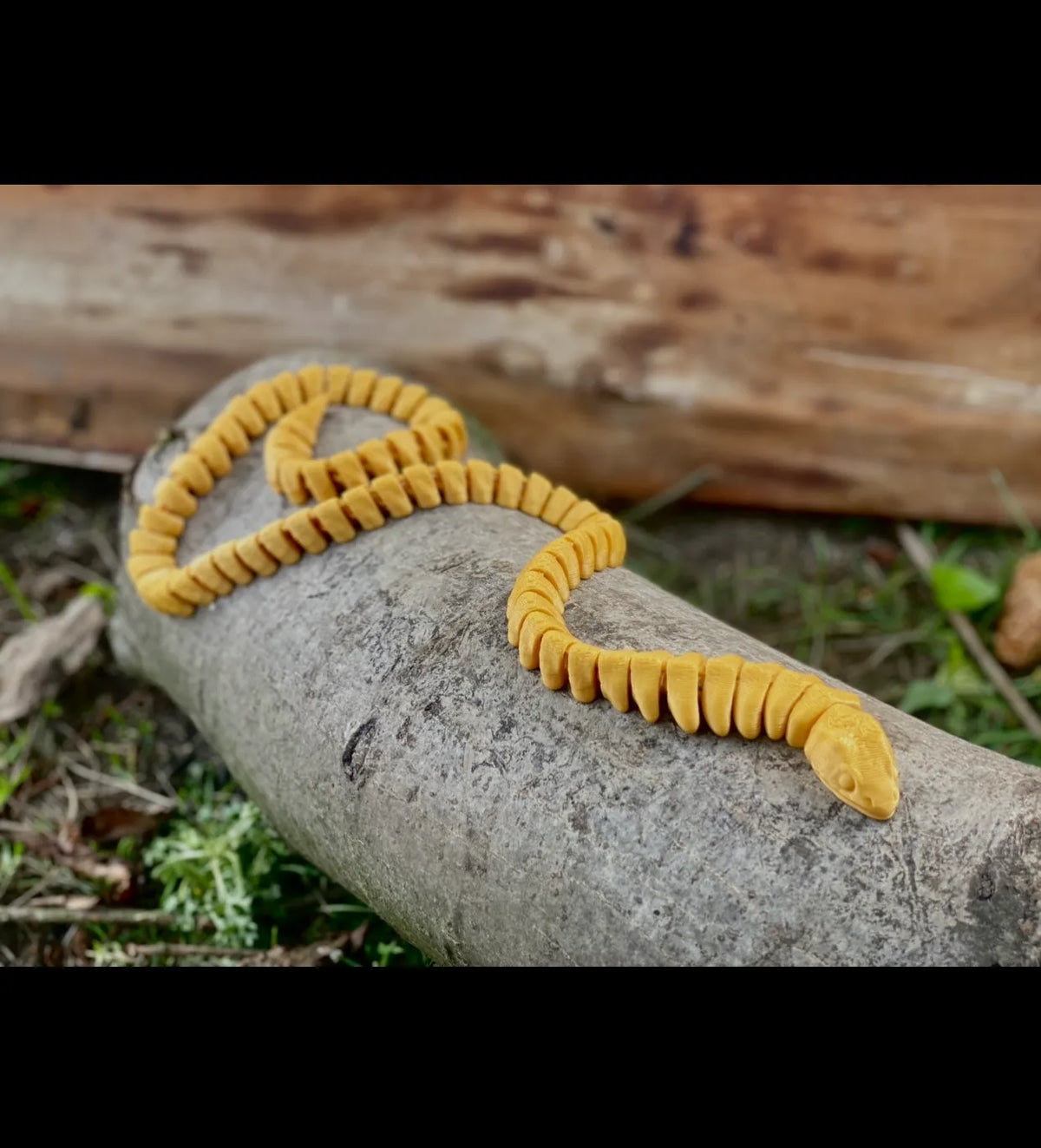 Flexi Cobra (designer photo)