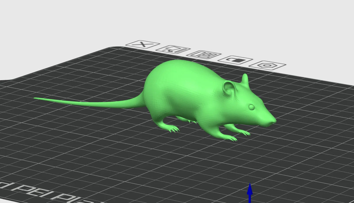 Cheeky Rat (designer photo)