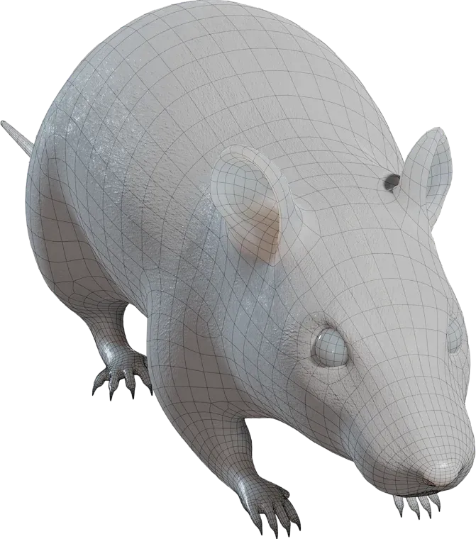 Cheeky Rat (designer photo)