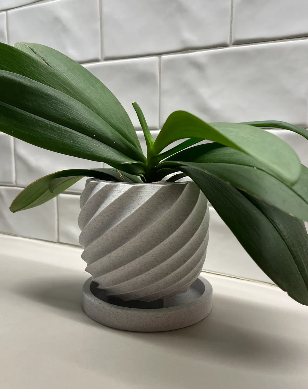 Spiral Flower Pot (designer photo)