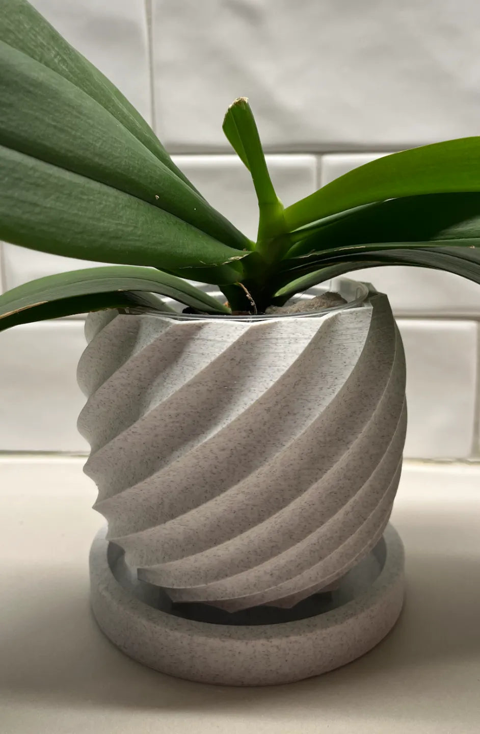 Spiral Flower Pot (designer photo)
