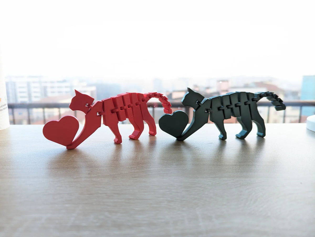 Flexi Cat with Heart (designer photo)