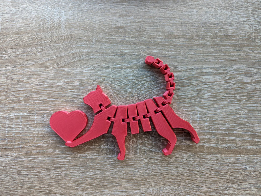 Flexi Cat with Heart (designer photo)