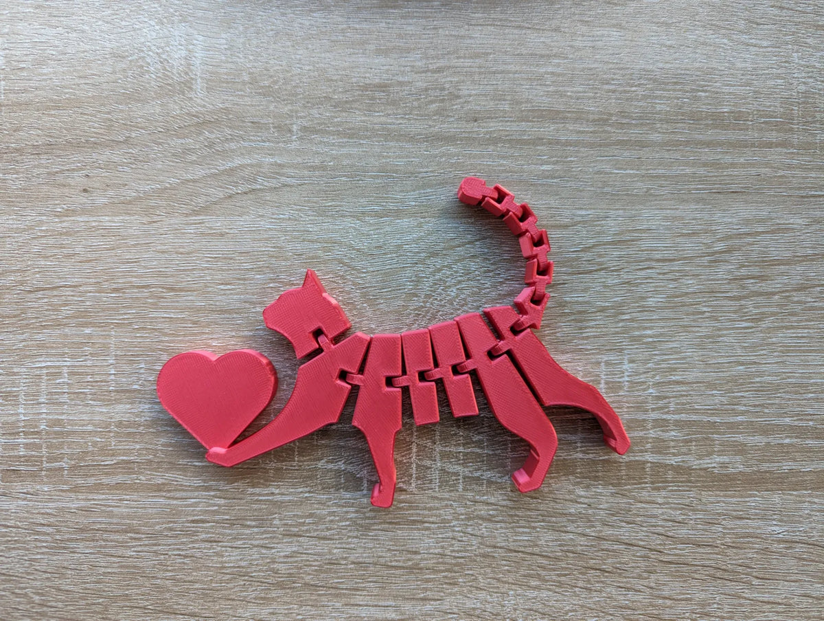 Flexi Cat with Heart (designer photo)