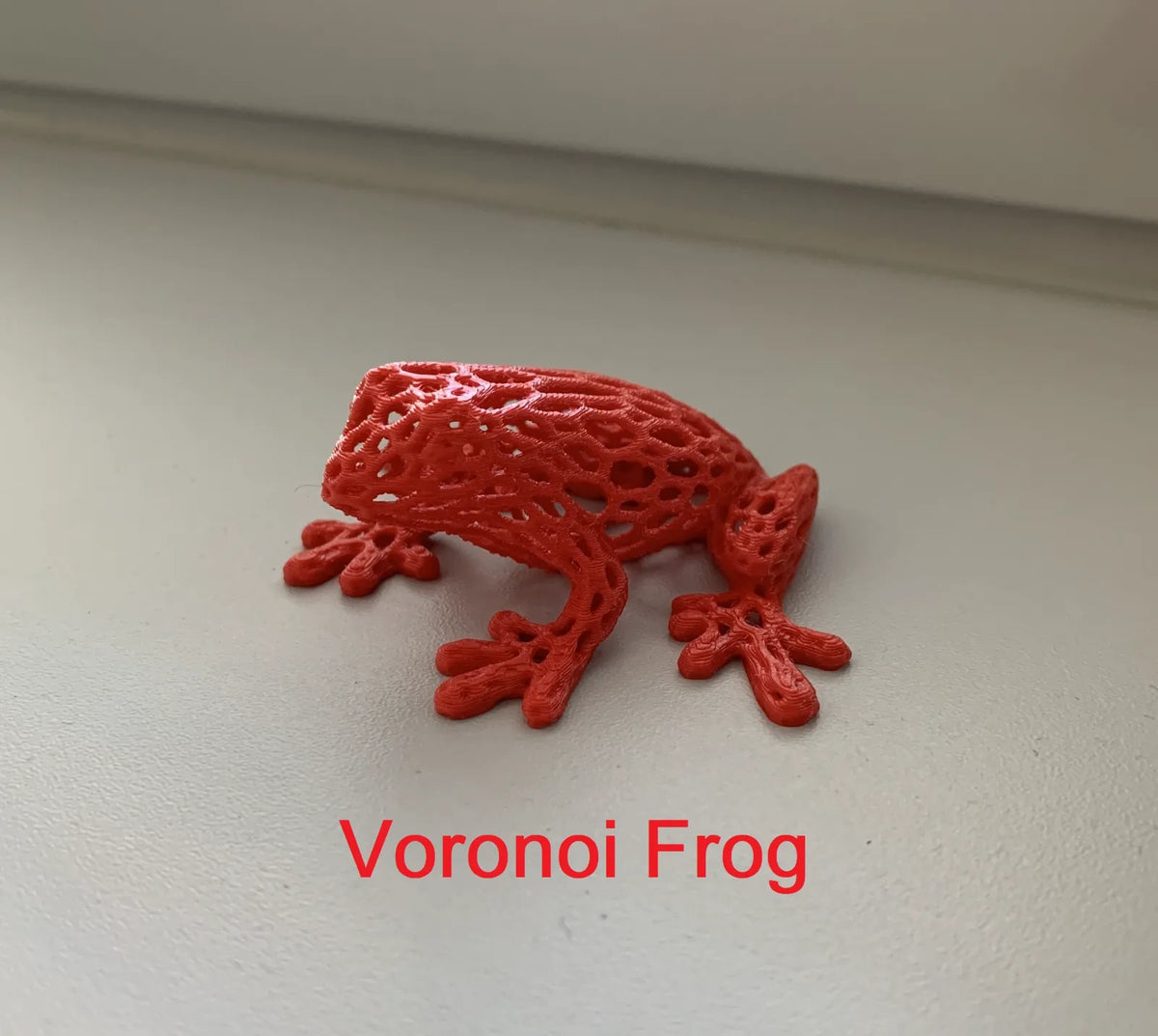 Voronoi Frog (designer photo)