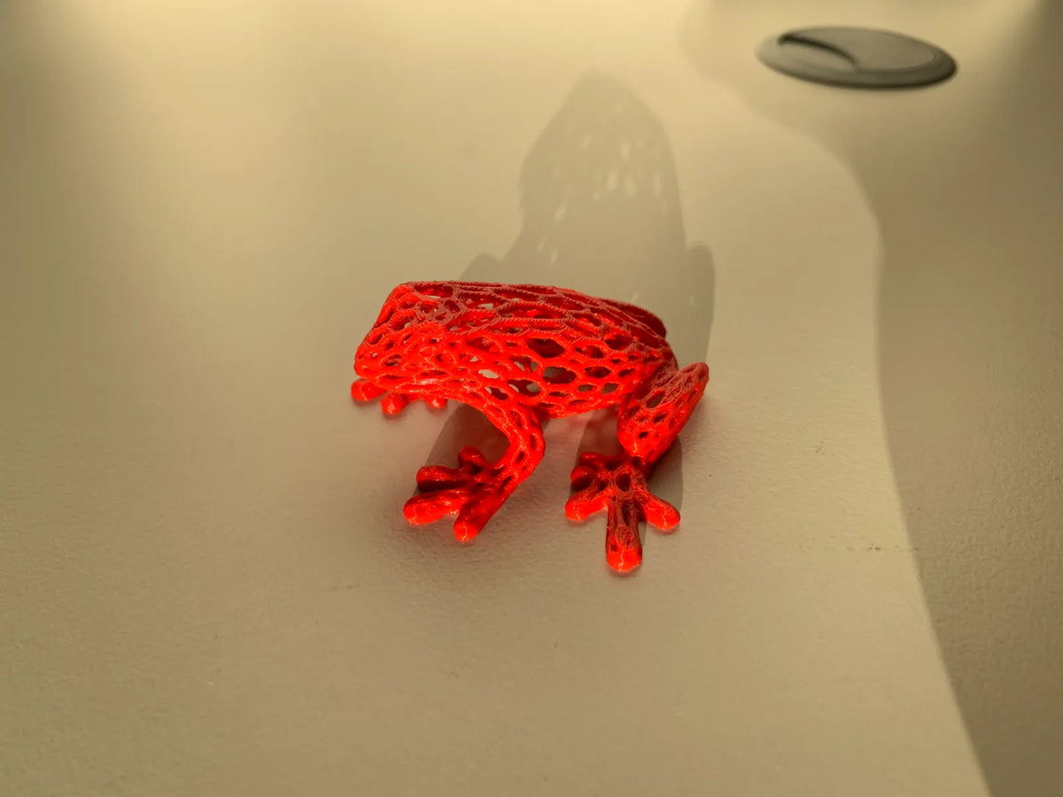 Voronoi Frog (designer photo)