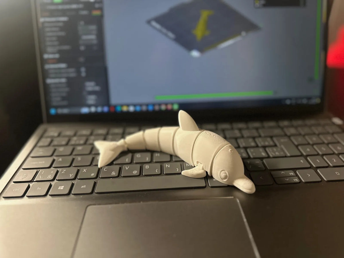 Leaping Dolphin (designer photo)