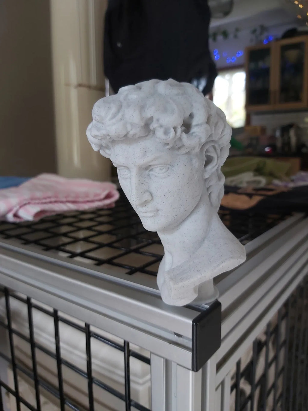 Statue of David (designer photo)