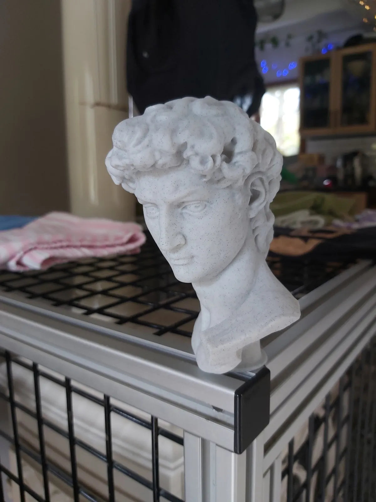 Statue of David (designer photo)