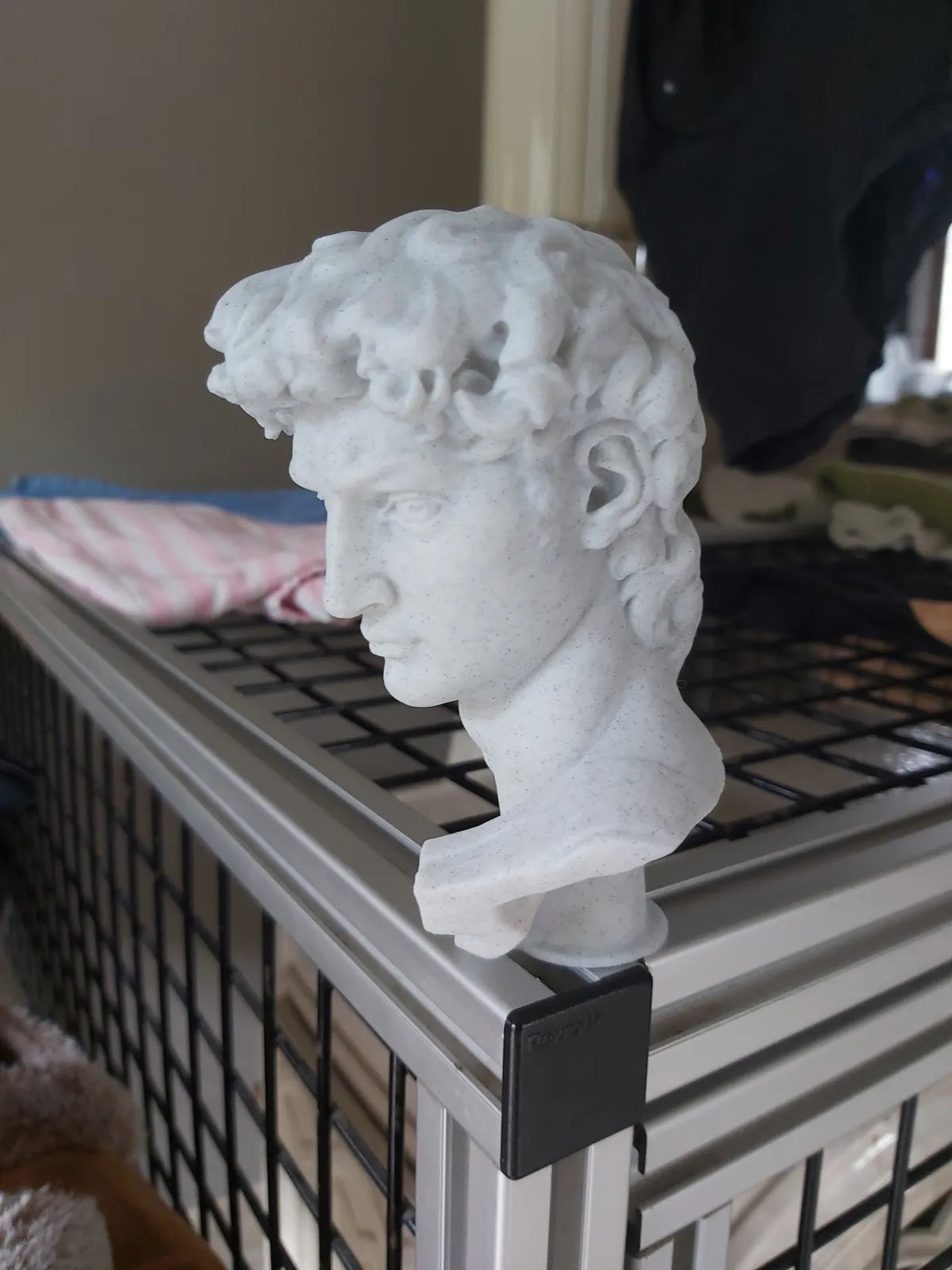Statue of David (designer photo)
