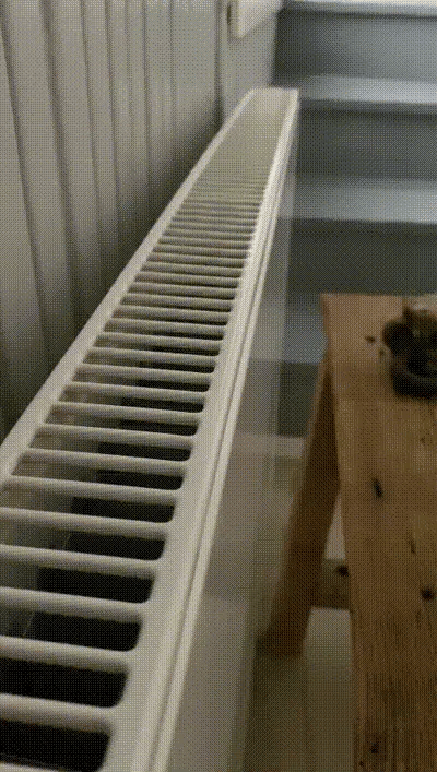 Radiator Drying Hook (designer photo)