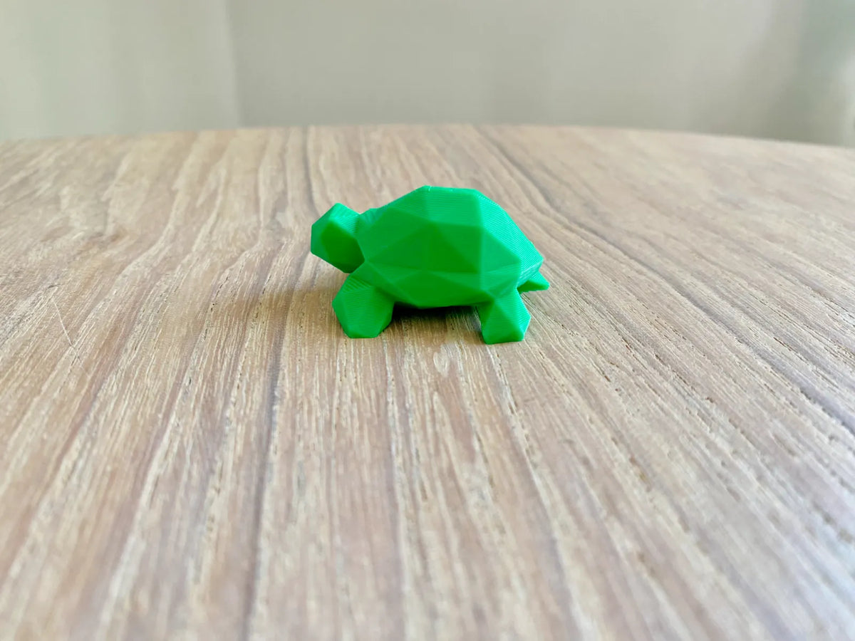 Tiny Low-Poly Turtle (designer photo)