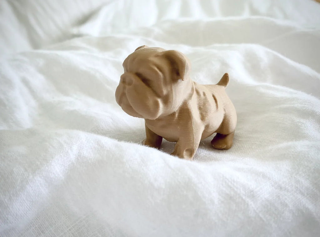 Chubby Bulldog Puppy (designer photo)