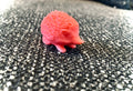 Little Hedgehog (designer photo)