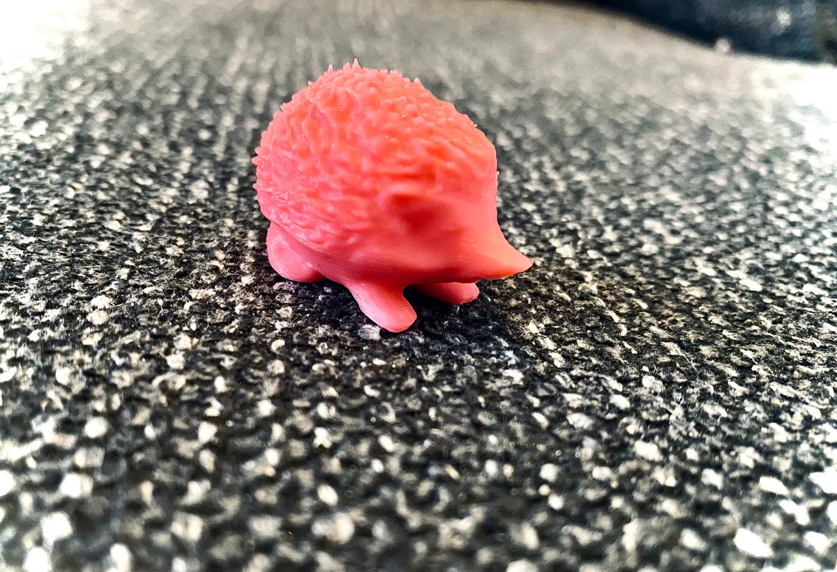 Little Hedgehog (designer photo)