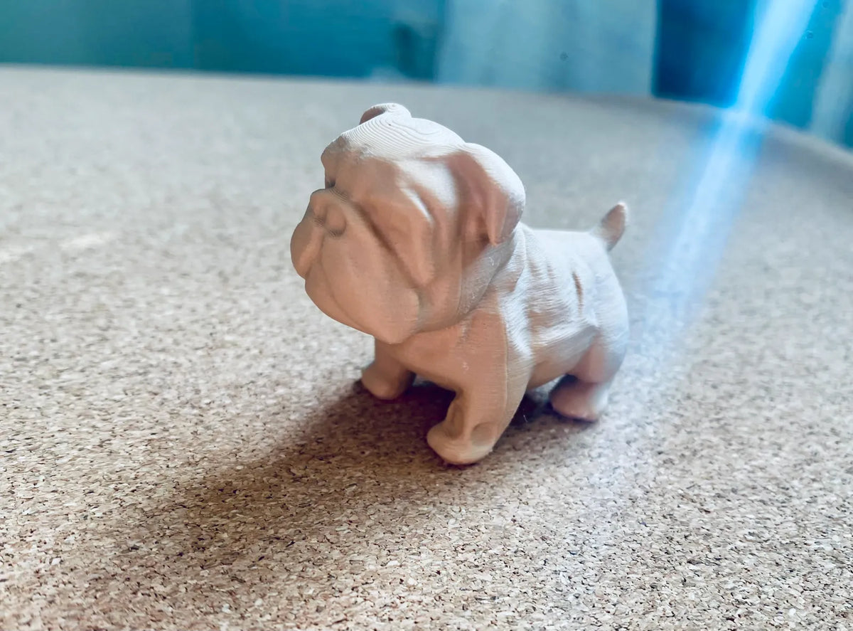 Chubby Bulldog Puppy (designer photo)