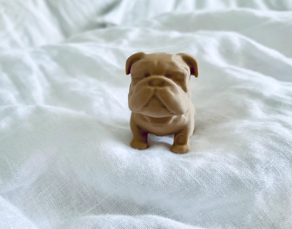 Chubby Bulldog Puppy (designer photo)