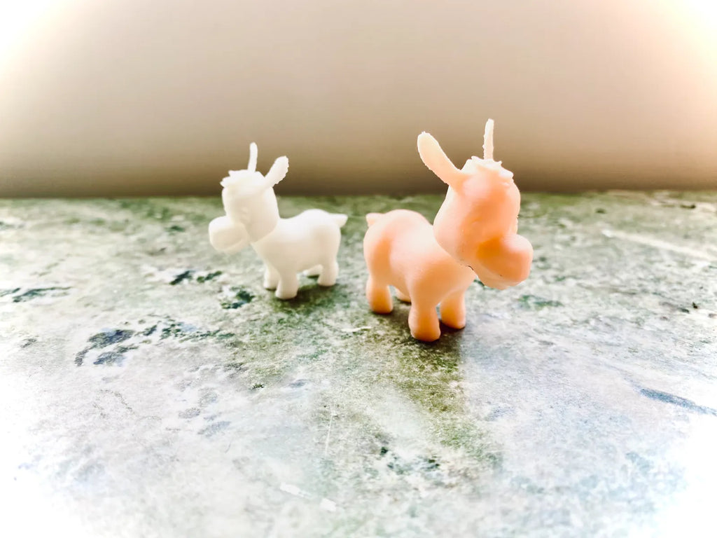 Little Donkey (designer photo)
