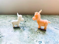 Little Donkey (designer photo)