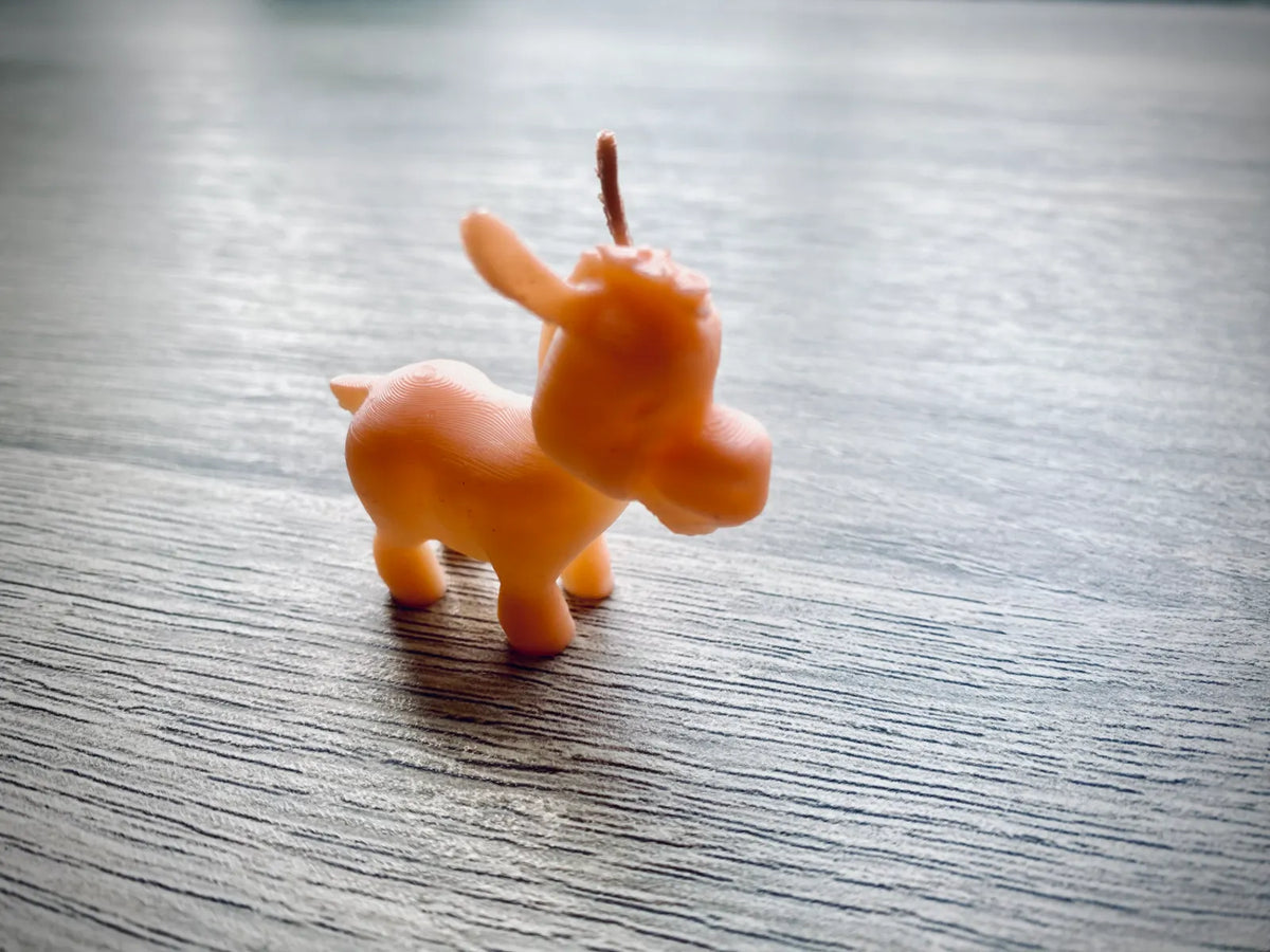 Little Donkey (designer photo)