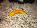 Flexi Banana (designer photo)