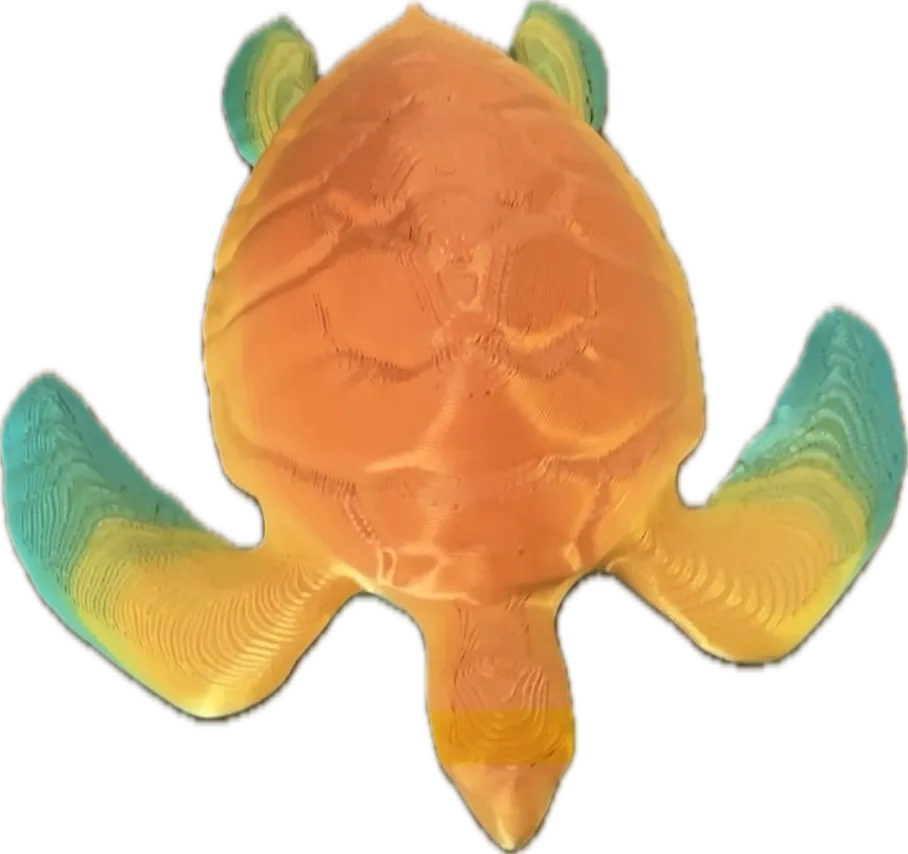 Leatherback Turtle (designer photo)