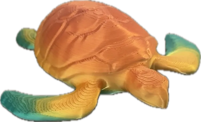 Leatherback Turtle (designer photo)