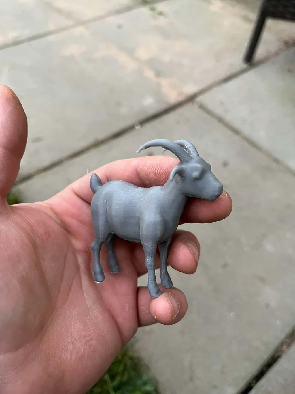 Little Goat (designer photo)