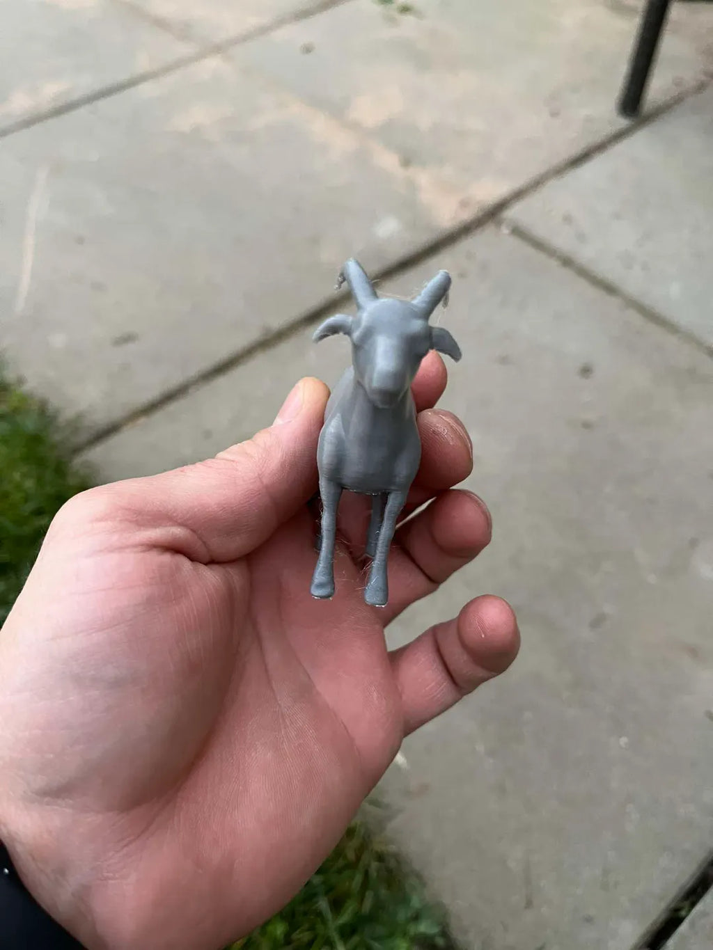 Little Goat (designer photo)