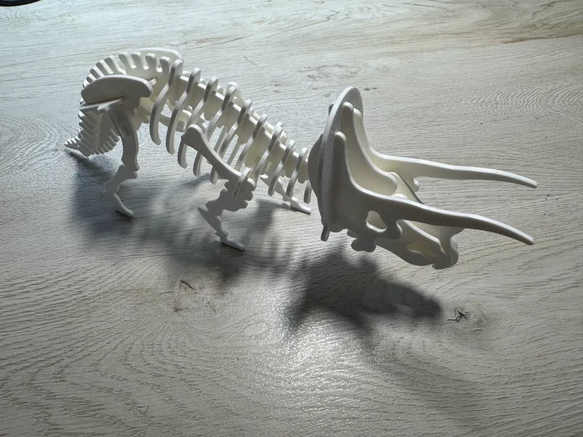 Triceratops Skeleton Puzzle (designer photo)
