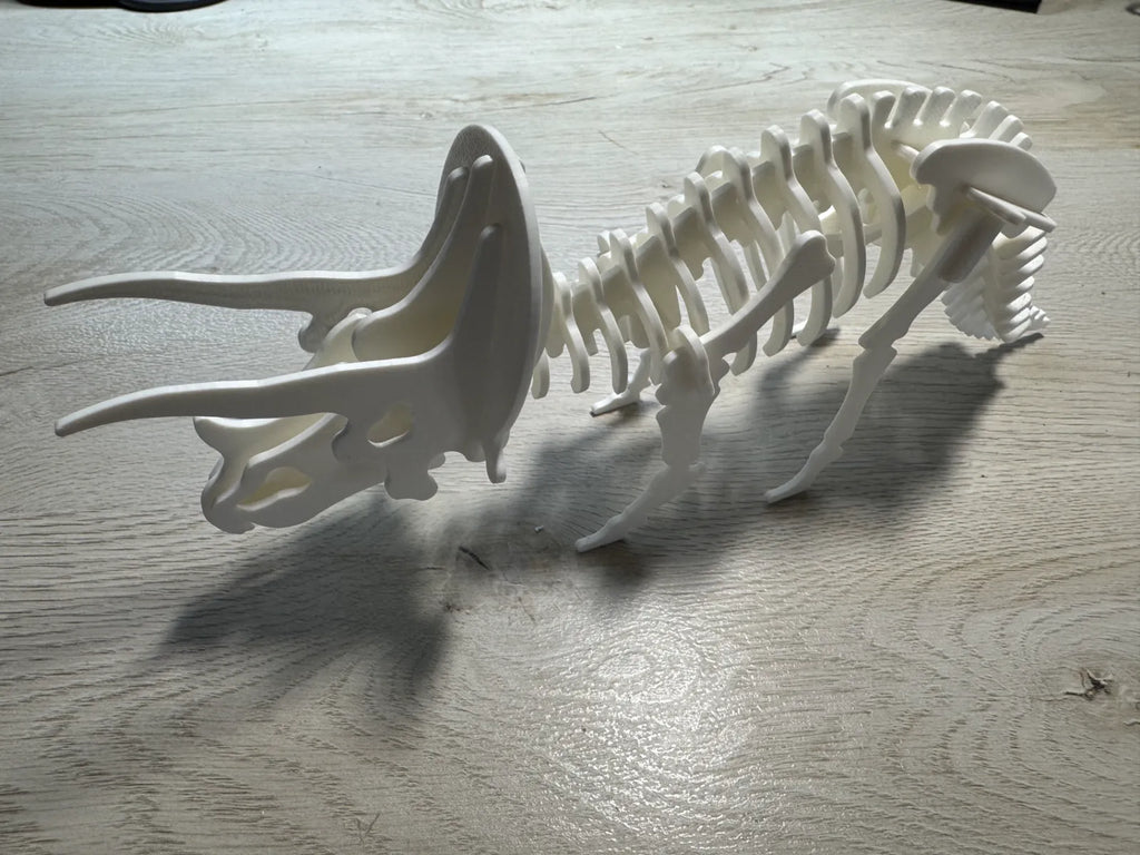 Triceratops Skeleton Puzzle (designer photo)