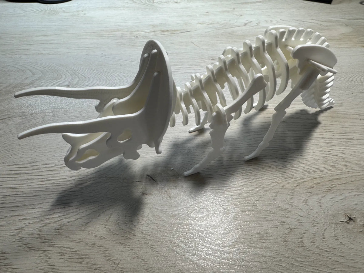 Triceratops Skeleton Puzzle (designer photo)