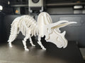 Triceratops Skeleton Puzzle (designer photo)