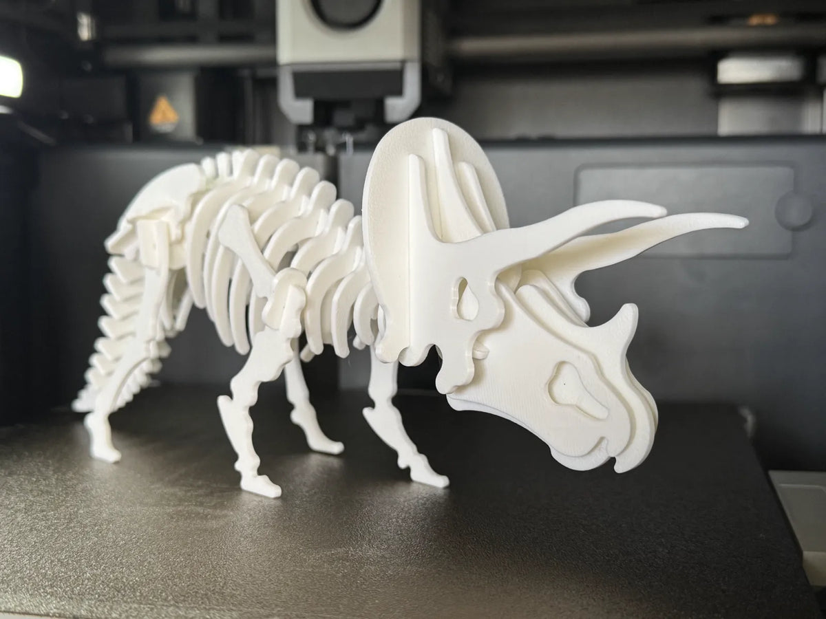 Triceratops Skeleton Puzzle (designer photo)