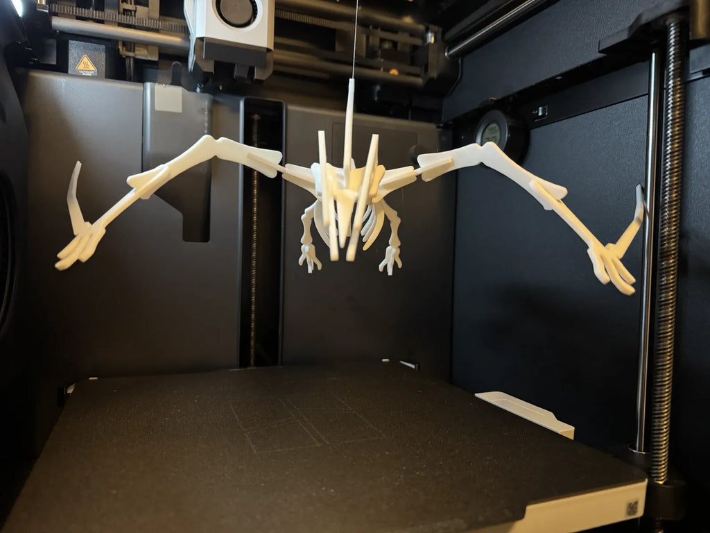 Pterodactyl Skeleton Puzzle (designer photo)