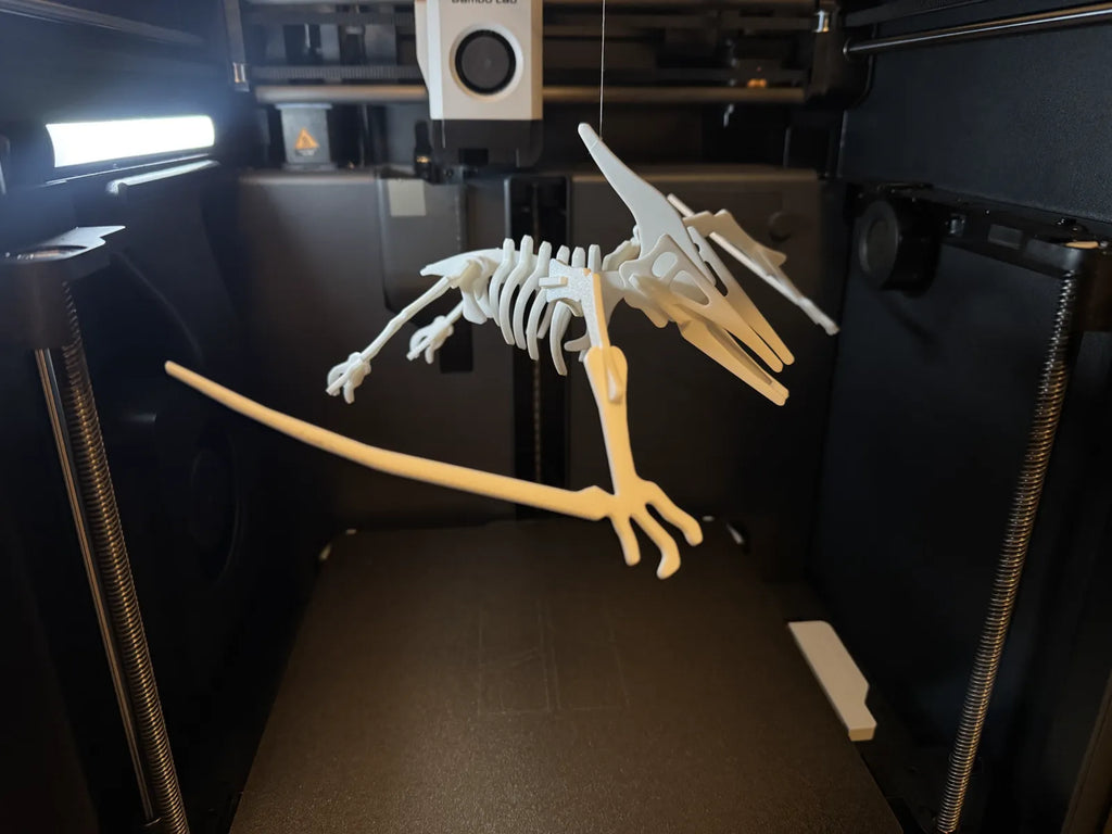 Pterodactyl Skeleton Puzzle (designer photo)