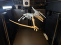 Pterodactyl Skeleton Puzzle (designer photo)