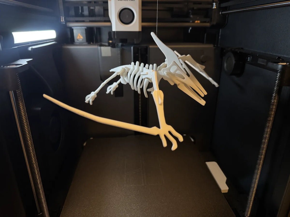 Pterodactyl Skeleton Puzzle (designer photo)