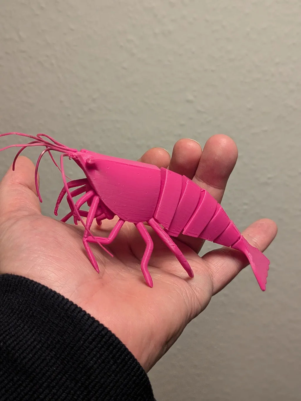 Articulated Shrimp (designer photo)